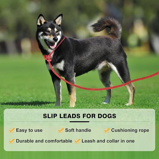 Lynxking Dog Leash Slip Lead Reflective Breathable Rope Comfortable Strong No Pull Slip On Pet Training Lead for Dogs (Red, Large 1/2 inch x 6ft)