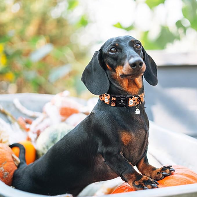 Lionheart glory Halloween Dog Collar-Pumpkin Ghosts Fall Dog Collars with Cute Ghost Pendant Soft Adjustable Collar for Medium Dogs Girls Boys Collars Party Pet Gift