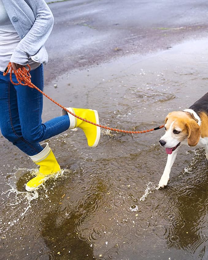 Long Dog Leash - 10FT/16FT/30FT/50FT/100FT, Reflective, Heavy Duty for Large, Medium, Small Dogs - Walking, Playing, Camping, Yard