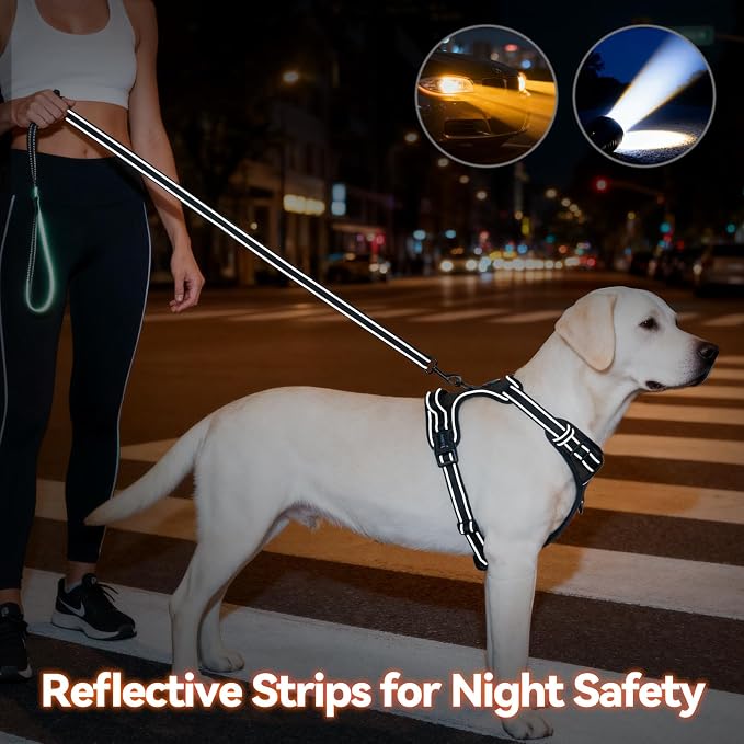 PHOEPET No Pull Dog Harness Medium Reflective Front Clip Puppy Vest with Handle,Adjustable 2 Metal Leash Attachment Hooks(M, Black)