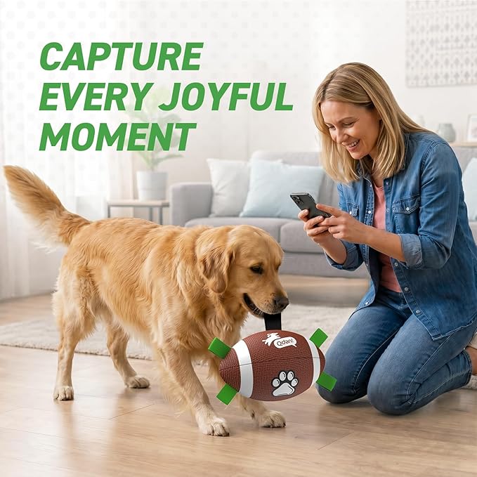 QDAN Dog Toys Football, Interactive Dog Toys for Tug of War,Superbowl Football Party Decorations Favor, Dog Water Toy, Durable Dog Balls for Small & Medium Dogs(8 inch)