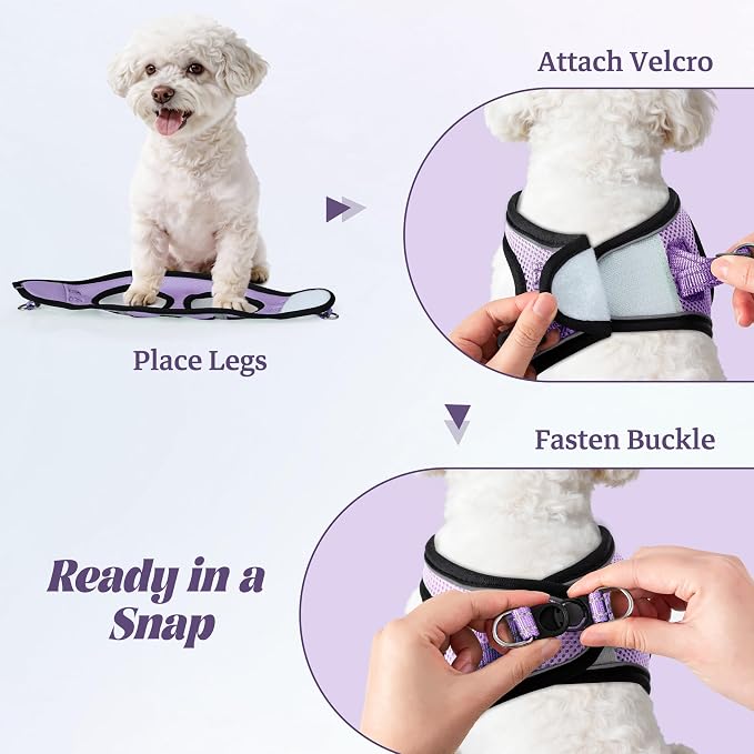 YIMEIS Dog Harness and Leash Set, No Pull Soft Mesh Pet Harness, Reflective Adjustable Puppy Vest for Small Medium Large Dogs, Cats (Taro Purple, X-Small (Pack of 1)