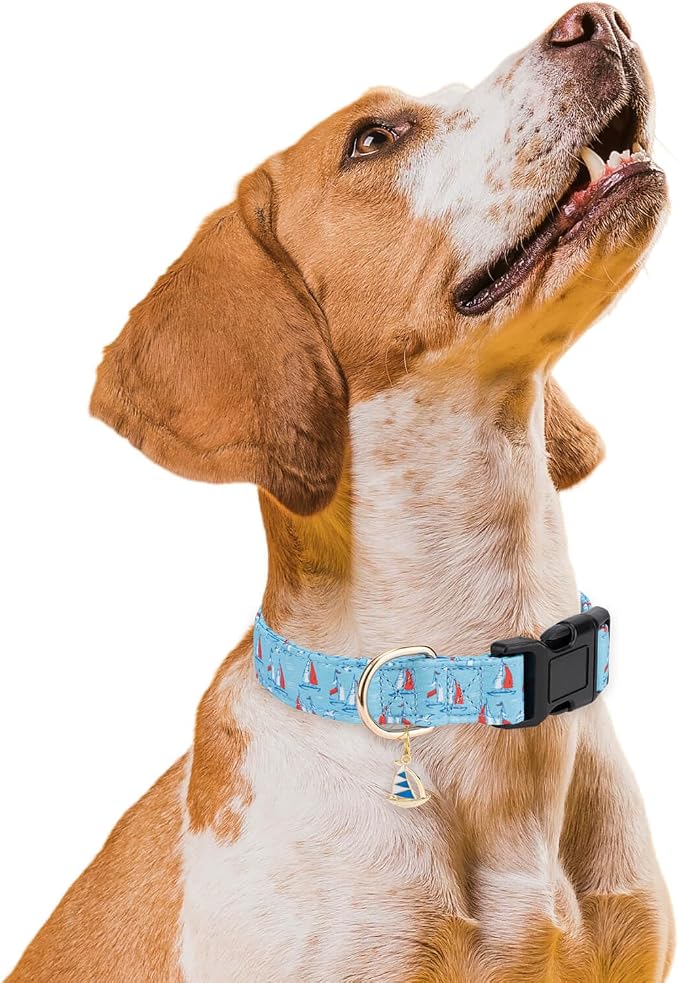 Personalized Dog Collars,Adjustable Puppy Collars with Safety Buckle for Small Medium Large Dogs,Cute and Unique Pink Cherry Pattern Pet Collar for Boy Girl Dogs. (Blue Sailboat, L)
