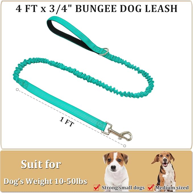 WYuZe 4 FT Bungee Dog Leash for Strong Small Dogs - Reflective, Shock Absorbing, Elastic Nylon Leash with Padded Handle for Safety Comfort No Pull Walking Training (Teal, 3/4"-Wide)