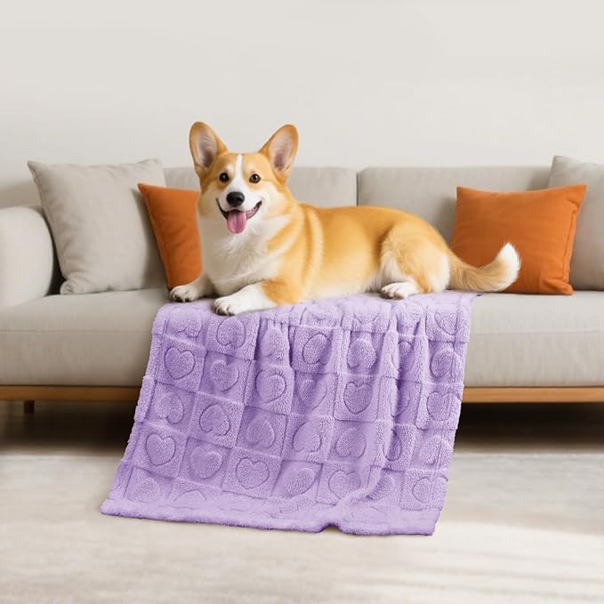 Luciphia Small Dog Blanket Washable Pet Bed Cover Soft Fluffy Puppy Blanket with Premium Fleece 300GSM Cozy Calming Cat Blankets for Indoor Cats Light Purple 41x31 inch