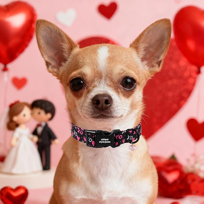 Unique Style Paws Valentine Dog Collar Plastic Buckle with Pendant BlackBerry Love Heart Cotton Puppy Collars for Small Medium Large Dogs