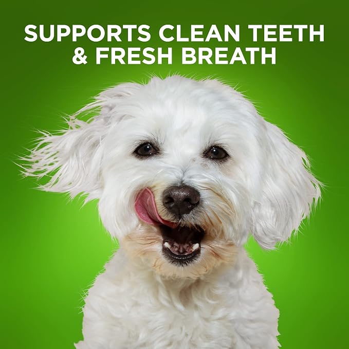 Fruitables Bioactive Fresh Mouth Dental Chews, Small Dog Treats, Pet Supplies, Teeth Cleaning Treats, Bad Breath & Tartar Preventer, Dog Dental Chews, Puppy Snacks, Up to 25 lbs, 7.3oz
