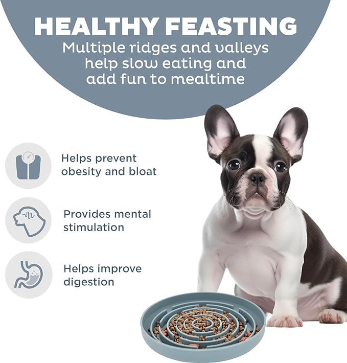 Slow Feeder Dog Bowls, Interactive Silicone Dog Feeding Bowls for Dogs & Cats, Slow Feeder Non-Slip with Suction Cups, Anti-Choking, Non BPA, Reduces Boredom, Anxiety, Dishwasher Microwave Safe
