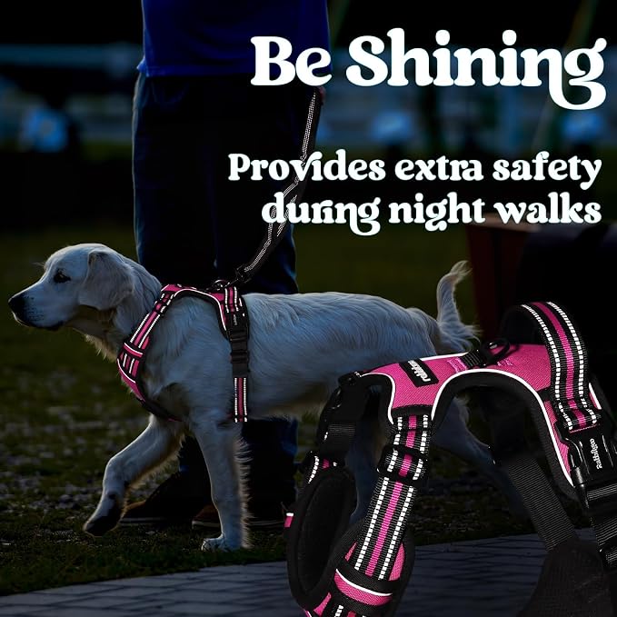 rabbitgoo Dog Harness for Large, No Pull Easy On & Off with 3 Buckles Pet Harness, Adjustable Soft Walking Vest with 2 Clips and Handle, Reflective for Large Dogs, Rose Pink, L