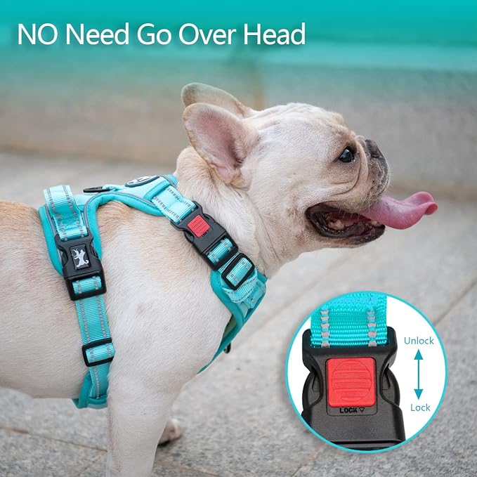 PoyPet No Pull Dog Harness, No Choke Reflective Dog Vest, Adjustable Pet Harnesses with Easy Control Padded Handle for Small Medium Large Dogs(Mint Blue Matching Trim,XL)