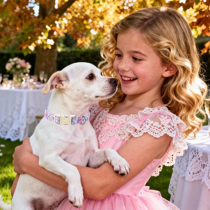 Spring Floral Dog Collar for Girl Dogs- Lavender Purple Flower Female Dog Collar, Adjustable Soft Cute Dogs Collars for Medium Dogs, M