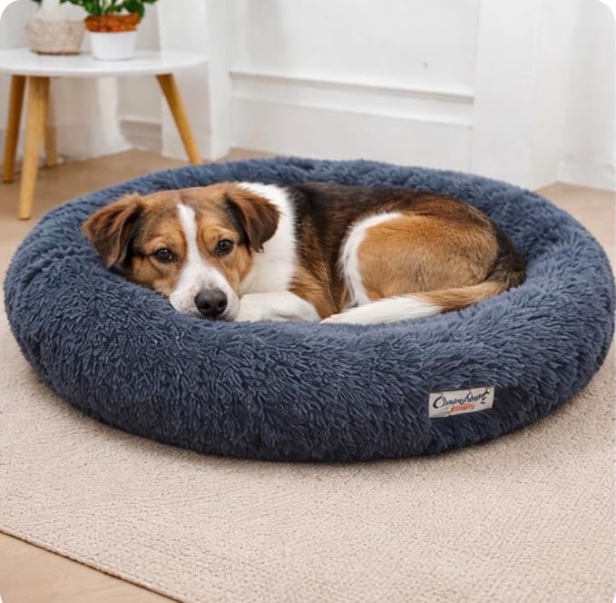 Calming Donut Dog Bed, Gray, Ultra Soft Plush, Round, Anti-Anxiety Bolster, Washable, for Small to Medium Dogs