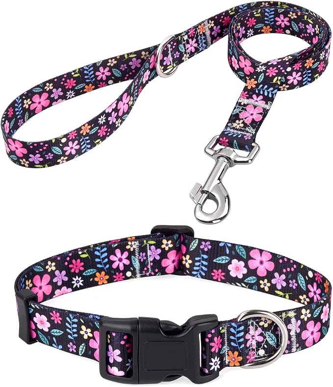 Mihqy Dog Collar and Leash Set with Bohemia Floral Tribal Geometric Patterns - Soft Ethnic Style Collar Adjustable for Small Medium Large Dogs(Floral Set,XS)