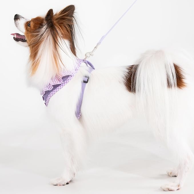 Puppia Vivien Dog Harness A (Over-the-Head) Fashionable Mesh Spring Summer Harness for Small Dogs, Violet, Medium