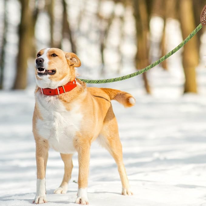 Mile High Life | Mountain Climbing Dog Rope Leash with Heavy Duty Metal Sturdy Clasp | Genuine Leather Tailored Connection with Strong Stitches (Lime Green, 48 Inch (Pack of 1))
