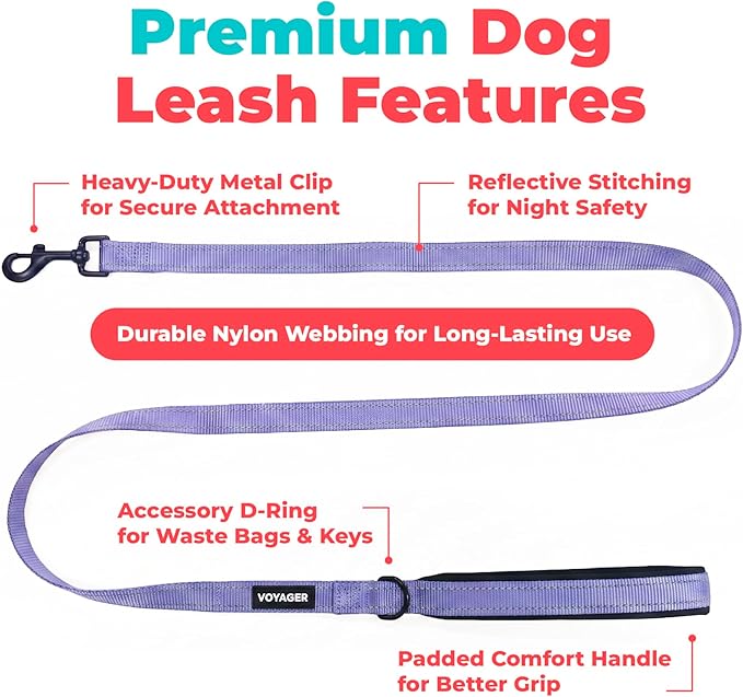 Best Pet Supplies Voyager Reflective Dog Leash or Collar with Neoprene Handle, for Small, Medium, and Large Breed Puppies, Cute and Heavy Duty for Walking, Running and Training - Lavender (Leash), S