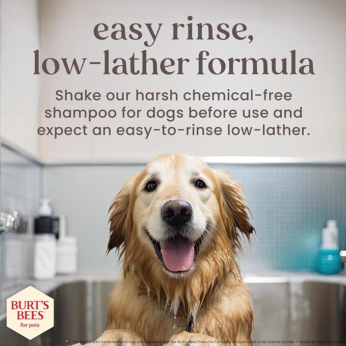 BURT'S BEES FOR PETS Itch Relief Shampoo for Dogs, Manuka Honey & Chamomile, Soothes Itchy Skin, pH Balanced for Dogs & Puppies, Will Not Wash Off Flea Treatments, Fragrance-Free, 16 Fl Oz