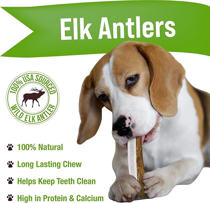Buck Bone Organics Elk Antler Split Dog Chew (Medium)