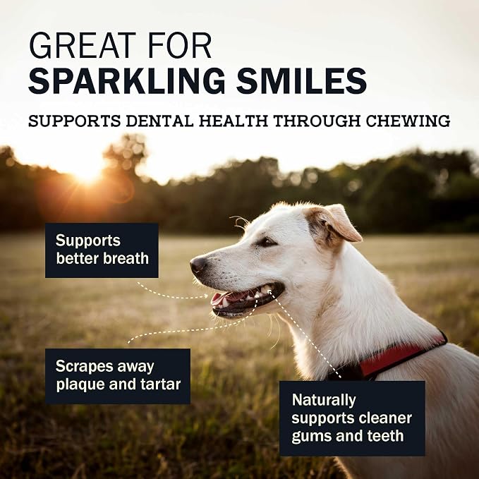 Redbarn Natural Dur-A-Bulls Treats for Dogs - 5 Medium Sticks - Hickory Flavor - Made in USA Long Lasting 100% Digestible No Artificial Ingredients or Plastic