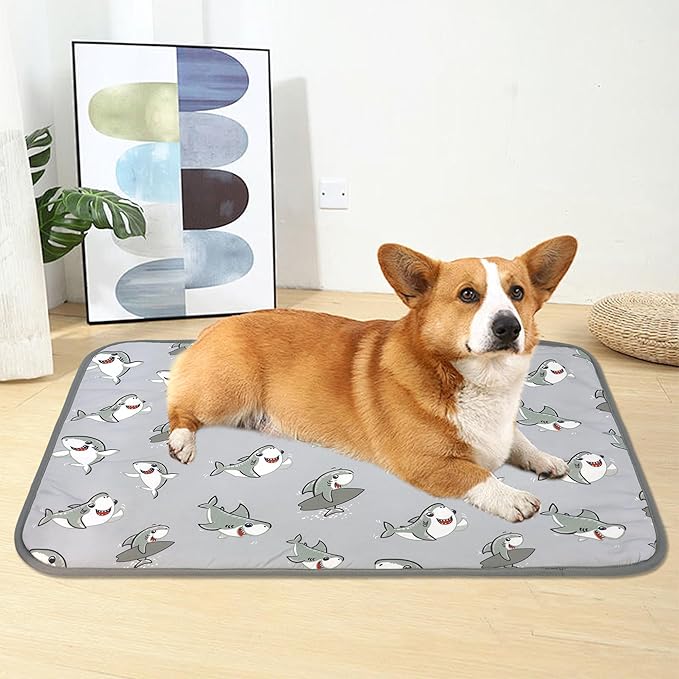DELIFUR Dog Cooling Mat- Pet Cooling Mat Outdoor for Dogs Self Cooling Pad for Puppy Small Medium Dog Machine Washable (Large, Grey Shark)