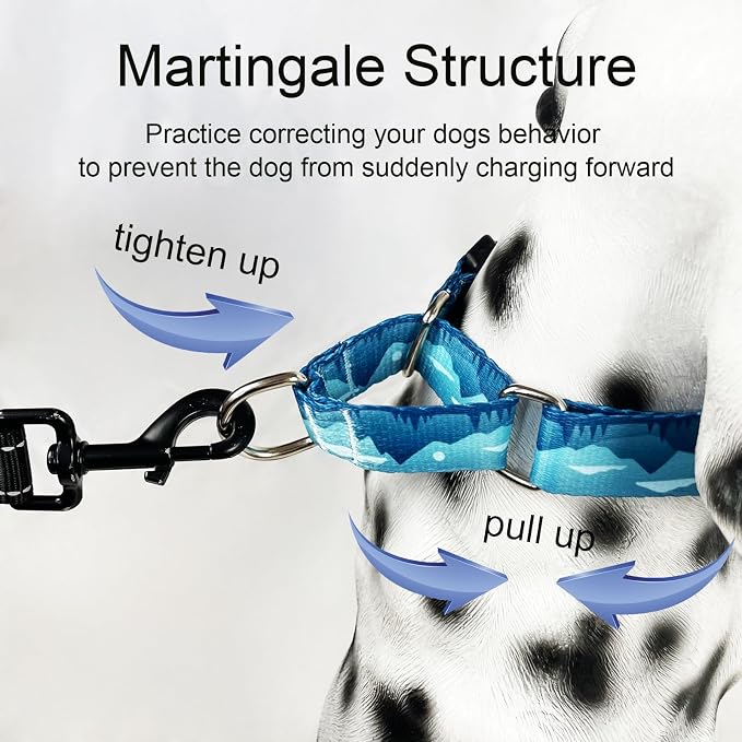 Martingale Collar for Dogs with Buckle Dog Collar Adjustable Soft Nylon Boy Dog Collars for Medium Dogs, Blue Sunset