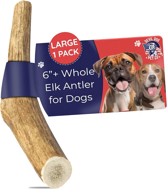 Devil Dog Pet Co. Elk Antlers for Dogs, Natural Dog Chew for Aggressive Chewers - Long Lasting and Odor Free - USA Sourced - Cleaner Teeth, Anxiety & Boredom Relief - Whole Large 6"+ - Antler Bone