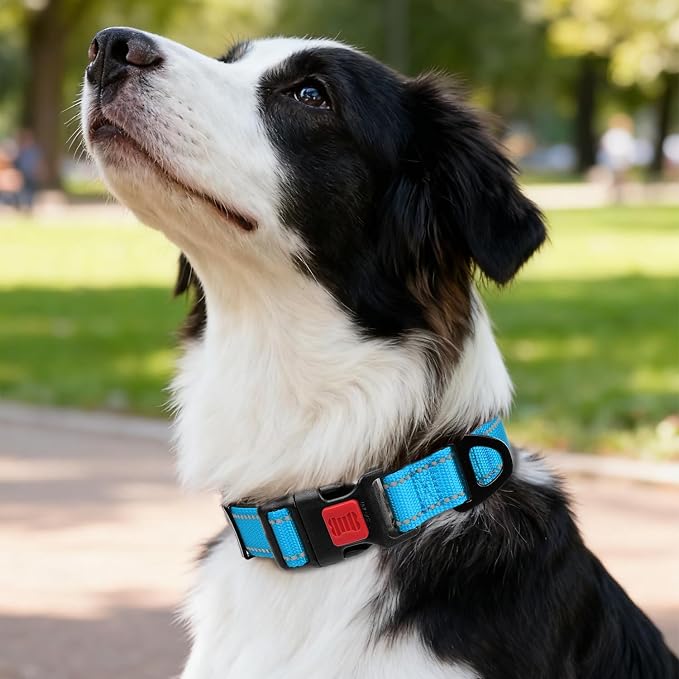 Taglory Reflective Dog Collar for Medium Dogs, Soft Neoprene Padded with Escape-Proof Locking Buckle, Upgraded Zinc Alloy Ring, Adjustable for Walking Female Male, SkyBlue,M