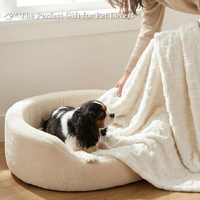 David's Home Large Dog Blankets Washable Pet Bed Cover, Soft Fluffy Fuzzy Cat Puppy Blanket with Premium 300GSM Fleece for Pet Kitten Doggy, Cream, 50x60IN