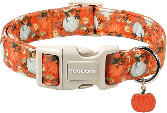 DOGWONG Fall Pumpkin Dog Collar- Cute Daisy Pumpkin Dog Collars Adjustable Orange Halloween Thanksgiving Dog Collar for Small Medium Large Dogs XL