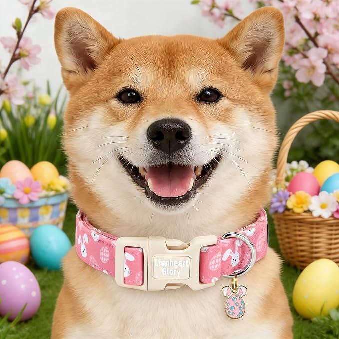 Lionheart glory Easter Day Dog Collar - Dog Collars Soft Adjustable Buckle Cute Easter Rabbits Pattern Pink Male Female Spring Bunnies Pet Collars for Small Dogs Puppy