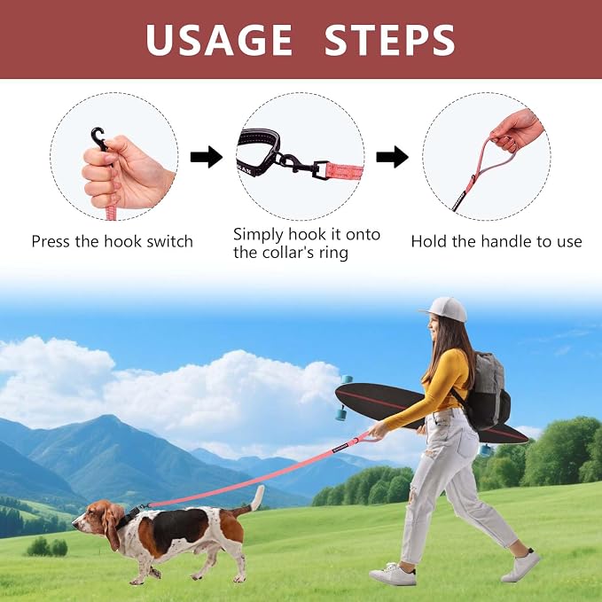 Reflective 6 FT Dog Leash, Premium Traditional Style Puppy Leash with Easy to Use Collar Hook for Small, Medium, and Large Breed Puppies (Pink, 3/4 in x 6 ft)