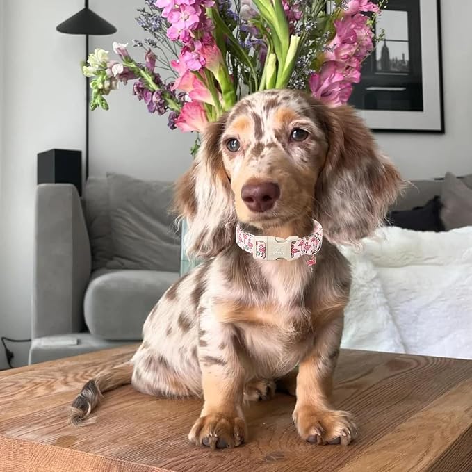 Maca Bates Cute Pink Flamingo Dog Collar Summer Puppy Collars for Extra Small Girl Boy Dogs,Spring and Summer Styles,Durable,Soft,Thick,Adjustable for Female Male Pet with White Safety Buckle