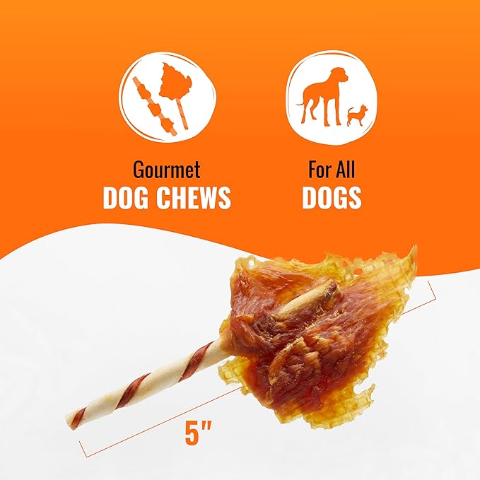 GOOD 'N' FUN Wings Long-Lasting Dog Treat, with Real Proteins, Premium Chicken and Beef Hide, Supports Dental Health, Mental Stimulation, 4 oz (Pack of 2)
