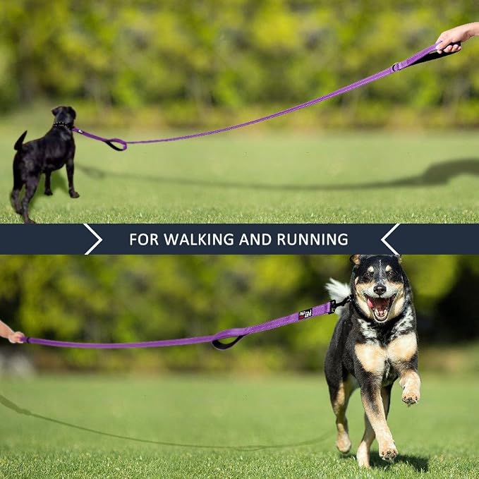 Plutus Pet Double Handle Dog Leash 4ft, Heavy Duty, Reflective Dual Handle Dog Leash for Safety Training, for Medium Large Dogs,2 Handle Leads(Purple)