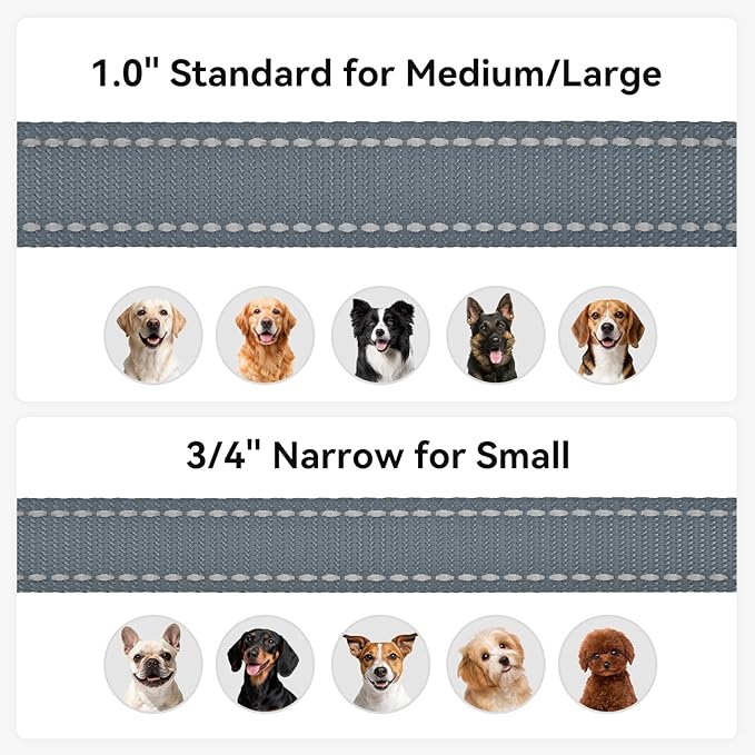 Joytale Dog Leash, 6 FT Double-Sided Reflective, Padded Handle Nylon Heavy Duty Leashes for Small Dogs Walking, Grey