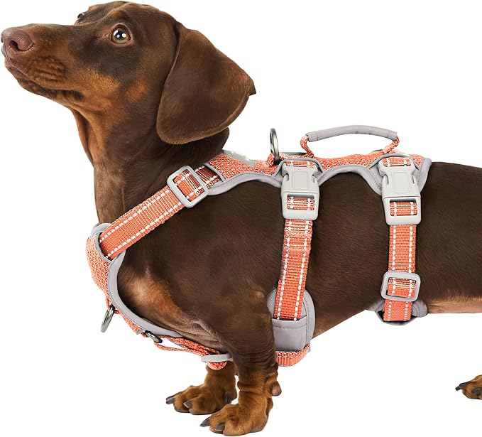Huntboo Escape Proof Dog Harness, Escape Artist Harness, Fully Reflective Harness with Padded Handle, Breathable, Durable, Adjustable Vest for Small Dogs Walking, Training, and Running Gear (Orange,S)