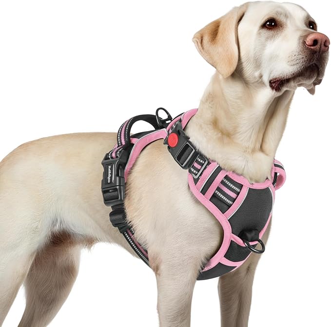 rabbitgoo Dog Harness for Large, No Pull Easy On & Off with 3 Buckles Pet Harness, Adjustable Soft Walking Vest with 2 Clips and Handle, Reflective for Large Dogs, Black & Pink, L