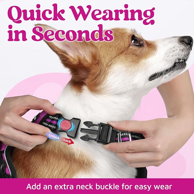 rabbitgoo Dog Harness Small Sized, 3 Buckles Easy On & Off No Pull Pet Vest, Soft Padded Walking Pet Harness with Control Handle, Adjustable and Reflective, Purple, S