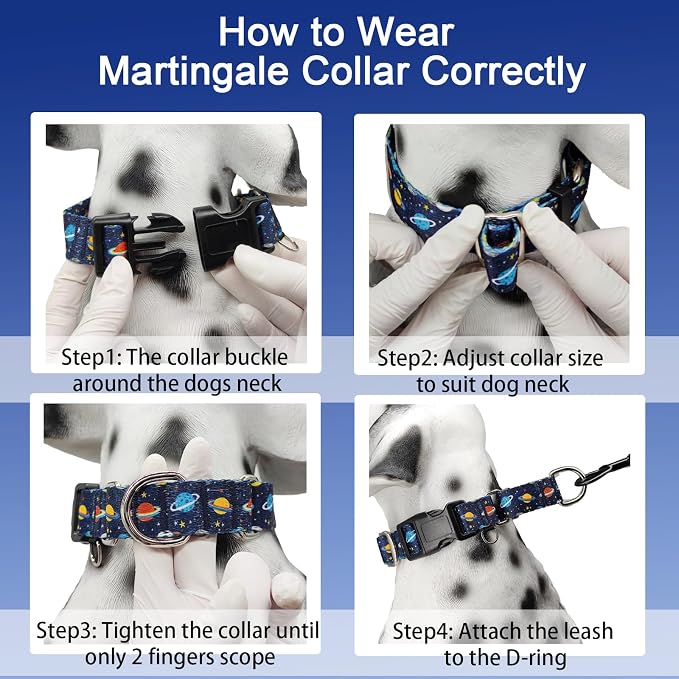 Martingale Dog Collars with Buckle No Slip Training Boy Dog Collar for Large Dogs (Blue Space, Large)