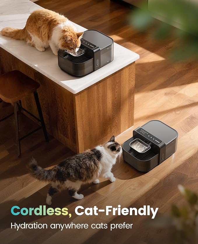 oneisall Wireless Filterless Cat Water Fountain, Separate Clean and Dirty Water Pet Fountain with Stainless Steel Bowl, 3.5L/118oz Quiet No Filter Smart FreshFill Automatic Cat Water Dispenser, Black