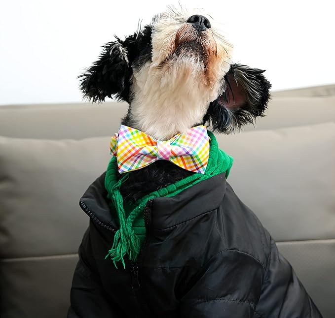 Lionet Paws Easter Dog Collar with Bowtie - Colorful Cute Cotton Bowtie Dog Cat Collar with Metal Buckle for Puppy Girl Boy, XXS, Neck 7-11in