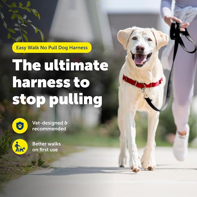 PetSafe Easy Walk No-Pull Dog Harness - Ultimate Harness to Help Stop Pulling - Pull-Free Walks - Take Control & Teach Better Leash Manners - Patented Martingale Loop Design - Red, Large