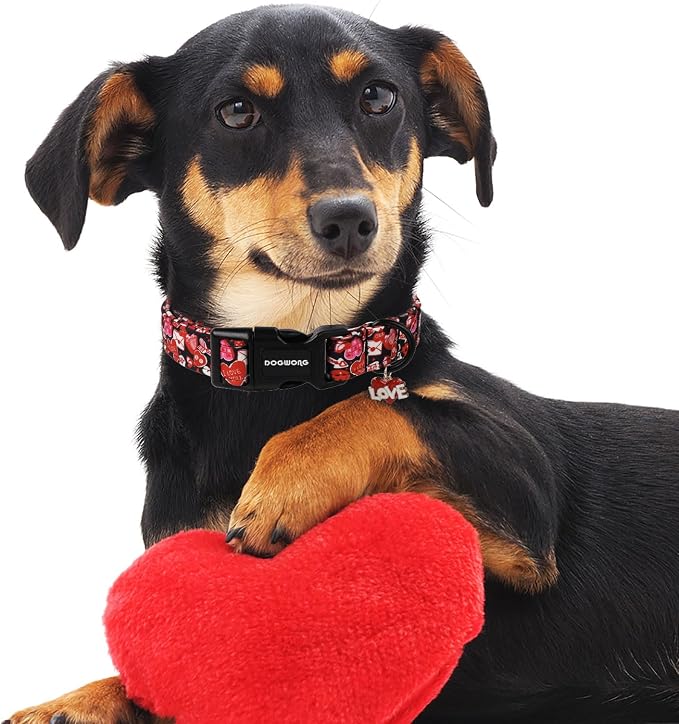 DOGWONG Valentine Dog Collar- Cute Red Heart Dog Collars Adjustable Durable Designer Valentine’s Day Dog Collar for Small Medium Large Dogs XL