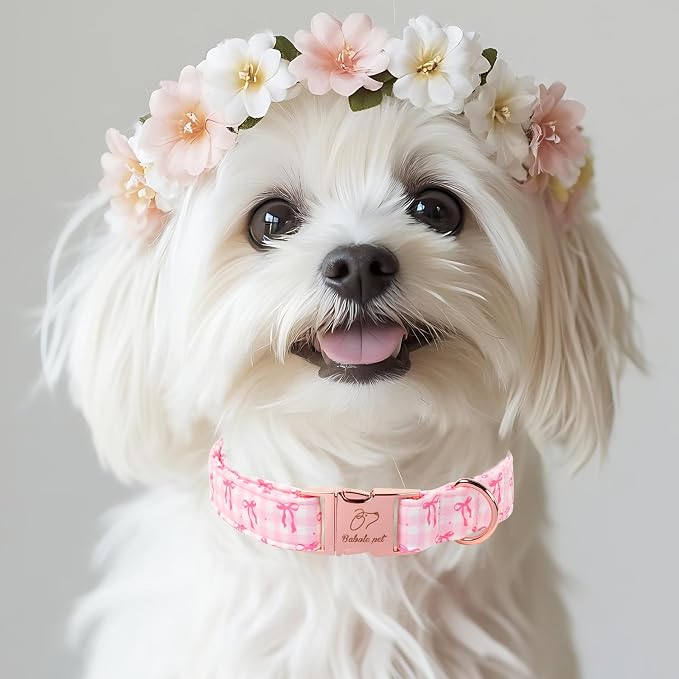 Girl Dog Collar, Sweetheart Girly Pink Bow Dog Collars, Adjustable Heavy Duty Spring/Summer Female Dogs Collar for Small Medium Large Dogs with Metal Buckle XL