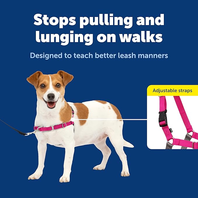 PetSafe Easy Walk No-Pull Dog Harness - Ultimate Harness to Help Stop Pulling - Pull-Free Walks - Take Control & Teach Better Leash Manners - Patented Martingale Loop Design - Raspberry, Small