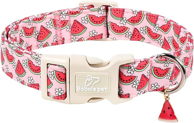 Summer Dog Collar Pink Watermelon Girl Dog Collars for Small Dogs - Lightweight Adjustable Cute Female Dogs Everyday Collar with Safety Buckle S