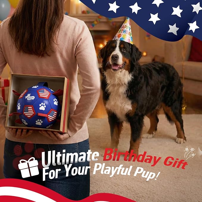 QDAN Dog Toys, Soccer Ball with Straps, Durable Dogs Balls for Extra Large Breeds, Beach Pool Water Toy, Dog Birthday Gifts, Herding Balls (9 Inch)