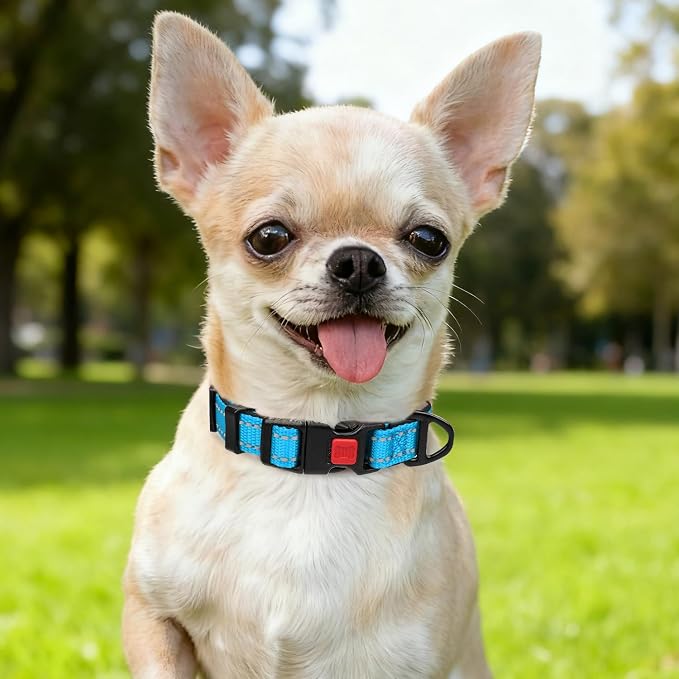 Taglory Reflective Dog Collar for Puppies with Escape-Proof Locking Buckle, Soft Neoprene Padded and Upgraded Zinc Alloy Ring, Adjustable for Chihuahua Yorkie, SkyBlue,XS