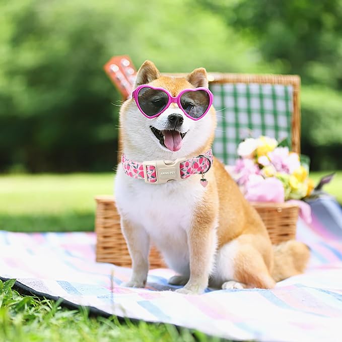 ARING PET Strawberry Dog Collar, Cute Spring Summer Pink Puppy Pet Collars for Small Medium Large Female Girl Dogs-S