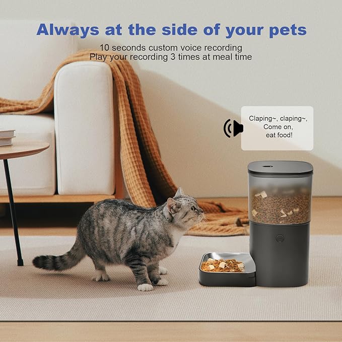 ANDOLL HOME Automatic Cat Feeder, Cat Food Dispenser with 10s Voice Recorder, Pet Feeder up to 8 Meals per Day, Timed Feeder with Dry Food Sealed Ring